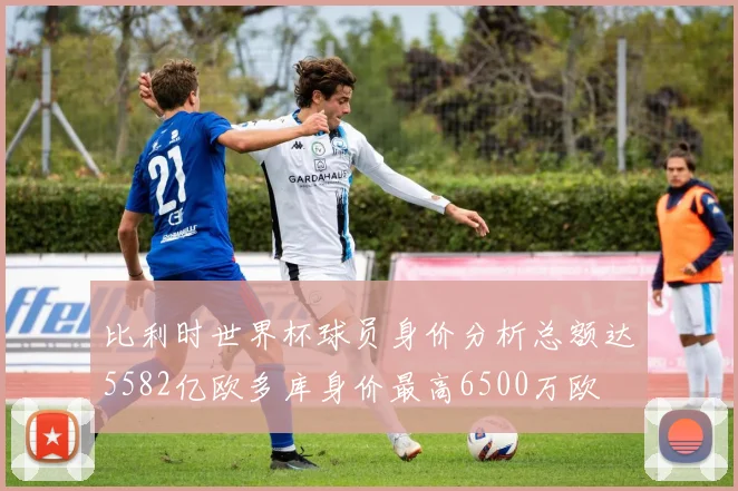 比利时世界杯球员身价分析总额达5582亿欧多库身价最高6500万欧
